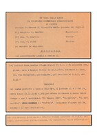 Stralci della sentenza di condanna a carico di Flavia Steno, 1a parte