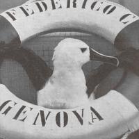 Un insolito e tranquillo passeggero a bordo della turbonave "Federico C."